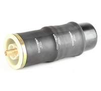 ������������� ������ �������� Renault MAGNUM (��������� ����)