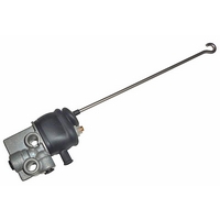 ���� ������ ����, ������ 0 500 004 203