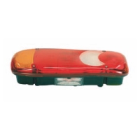 ������ Renault, DAF LF � ���������� ��������� �����