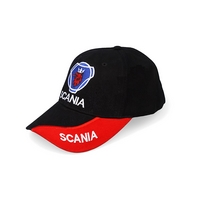 ����� � ��������� SCANIA
