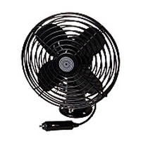 ���������� ������������� (19�� �� �����), ��� ��������, 24�