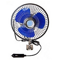 ���������� ������������� (19�� �� �����), ��� ��������, 12�