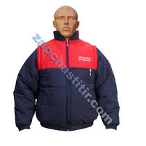 ������� ��RCEDES  ���������� ������ L