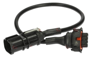 ����� ����������� ������� �������� ������������ ������� (�������)