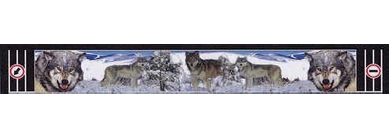 ��������� �� ������ ("��������", "�����") 380�2400 "�����"