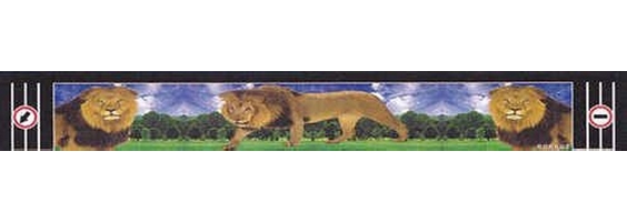 ��������� �� ������ ("��������", "�����") 380�2400 "����"