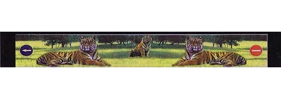 ��������� �� ������ ("��������", "�����") 380�2400 "�����"