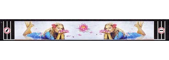 ��������� �� ������ ("��������", "�����") 380�2400 "�������"