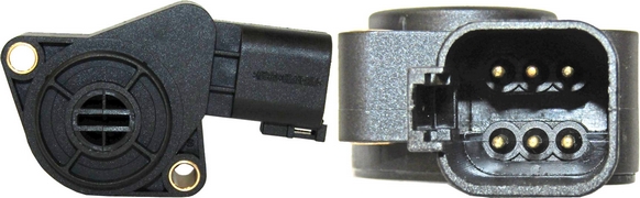 ������������ ������ ����, 6 ���������