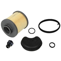 ������ AD BLUE ��� MAN TGX