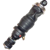 ����������������� ������ MAN F2000, ��������